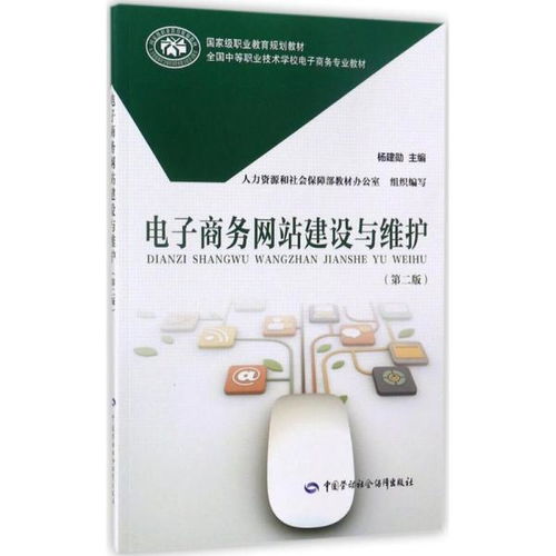 電子商務(wù)網(wǎng)站建設(shè)與維護(hù)（第二版） 全面解析網(wǎng)站建設(shè)及維護(hù)服務(wù)