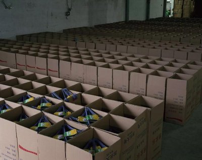 最后的守望 我家四十載的自梳女保姆