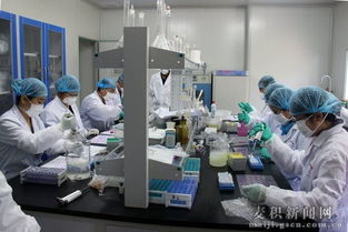 天水市舉辦縣級(jí)獸醫(yī)實(shí)驗(yàn)室檢測(cè)技術(shù)培訓(xùn)班，提升技術(shù)服務(wù)能力